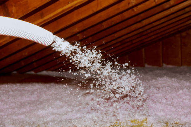 Best Types of Insulation in Arcadia, FL